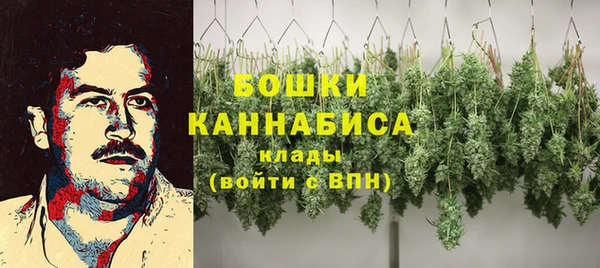 крисы Апатиты